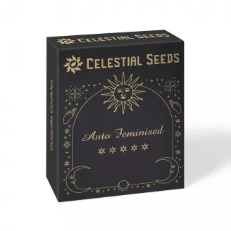 Семена марихуаны сорт Black Herer Auto Fem.